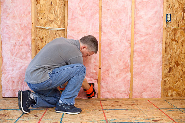 Best Crawl Space Insulation  in Smith Center, KS